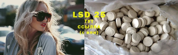 ECSTASY Алзамай