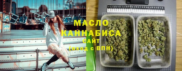 ECSTASY Алзамай