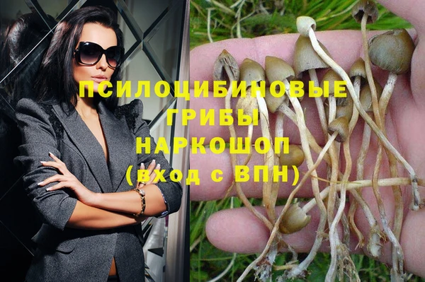 винт Алексеевка