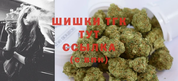 ECSTASY Алзамай